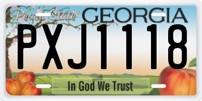 GA license plate PXJ1118