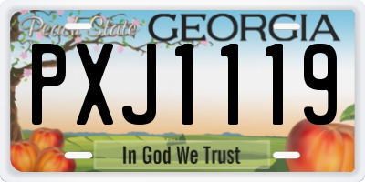 GA license plate PXJ1119