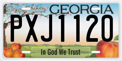 GA license plate PXJ1120