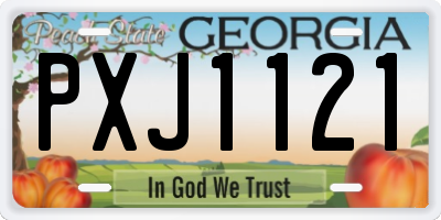 GA license plate PXJ1121