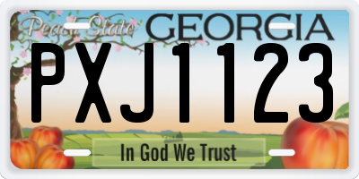 GA license plate PXJ1123