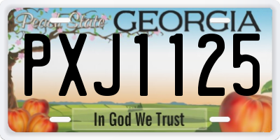 GA license plate PXJ1125
