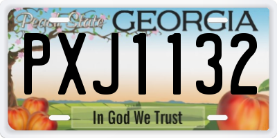 GA license plate PXJ1132