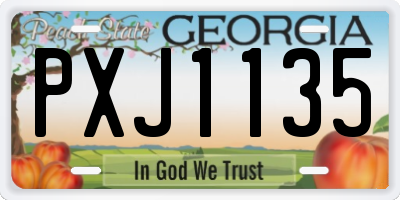 GA license plate PXJ1135
