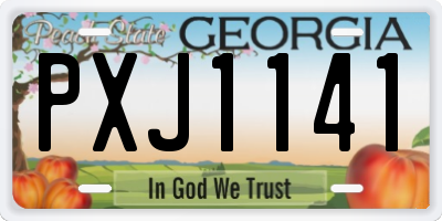 GA license plate PXJ1141