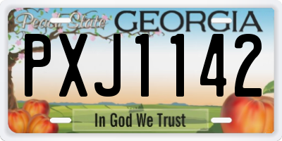 GA license plate PXJ1142