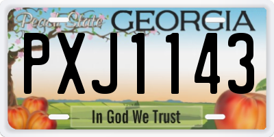 GA license plate PXJ1143