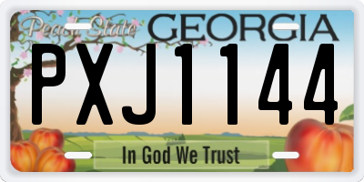 GA license plate PXJ1144