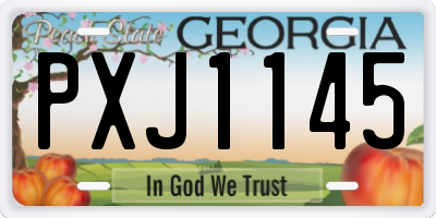 GA license plate PXJ1145