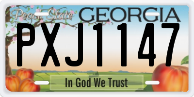 GA license plate PXJ1147