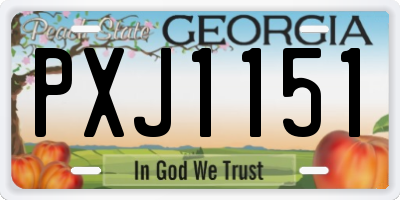 GA license plate PXJ1151