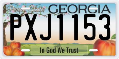 GA license plate PXJ1153