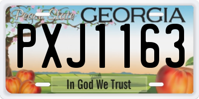 GA license plate PXJ1163