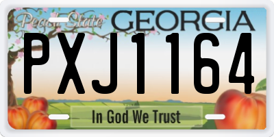 GA license plate PXJ1164