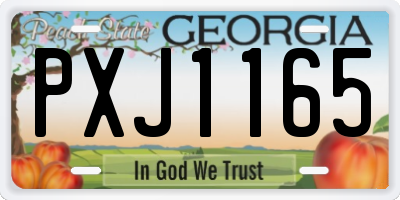 GA license plate PXJ1165