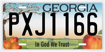 GA license plate PXJ1166