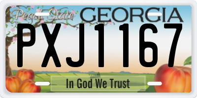 GA license plate PXJ1167