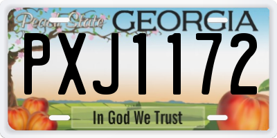 GA license plate PXJ1172