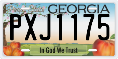 GA license plate PXJ1175