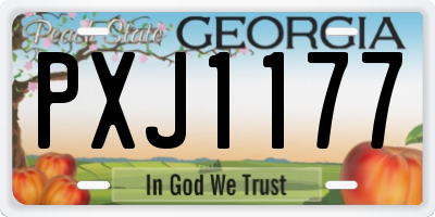 GA license plate PXJ1177
