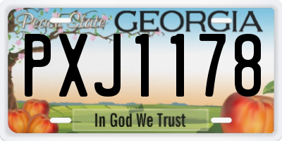 GA license plate PXJ1178