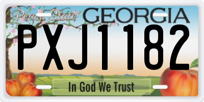 GA license plate PXJ1182