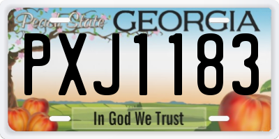 GA license plate PXJ1183