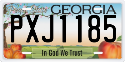 GA license plate PXJ1185