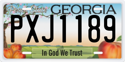 GA license plate PXJ1189