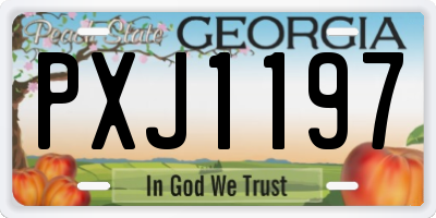 GA license plate PXJ1197