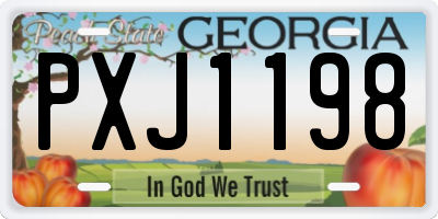 GA license plate PXJ1198