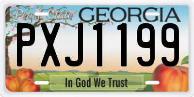GA license plate PXJ1199