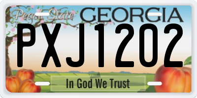 GA license plate PXJ1202