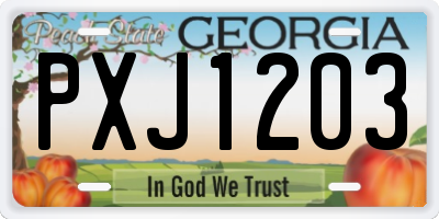 GA license plate PXJ1203