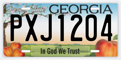GA license plate PXJ1204