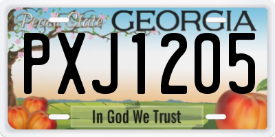 GA license plate PXJ1205