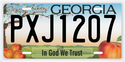 GA license plate PXJ1207