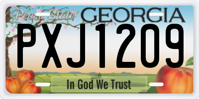 GA license plate PXJ1209