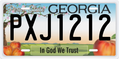 GA license plate PXJ1212