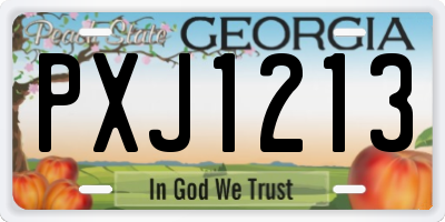 GA license plate PXJ1213