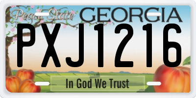 GA license plate PXJ1216
