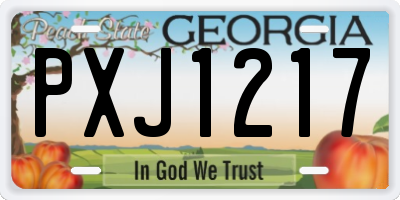 GA license plate PXJ1217