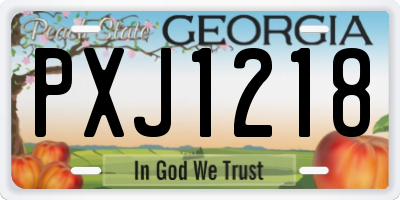 GA license plate PXJ1218