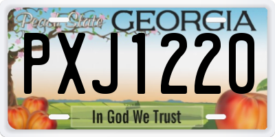 GA license plate PXJ1220