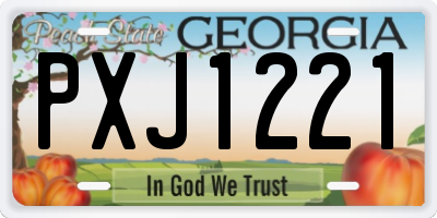 GA license plate PXJ1221