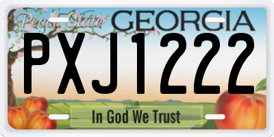 GA license plate PXJ1222