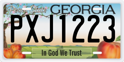 GA license plate PXJ1223