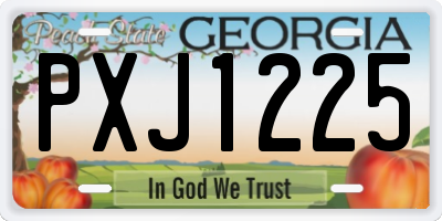GA license plate PXJ1225