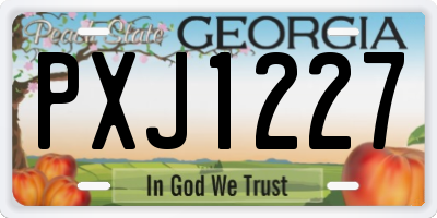 GA license plate PXJ1227