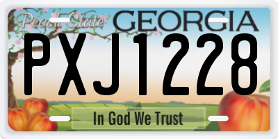 GA license plate PXJ1228